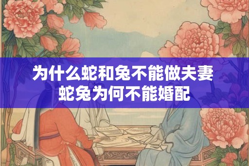 为什么蛇和兔不能做夫妻 蛇兔为何不能婚配 为什么蛇和兔不能做夫妻 蛇兔为何不能婚配