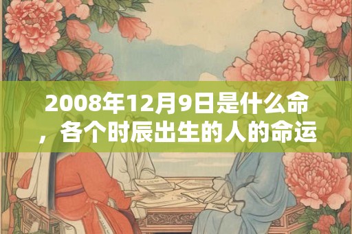 2008年12月9日是什么命，各个时辰出生的人的命运