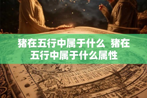 猪在五行中属于什么  猪在五行中属于什么属性