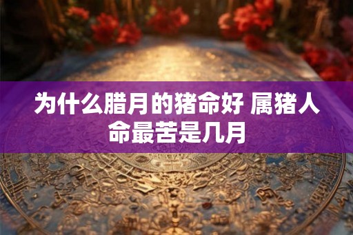 为什么腊月的猪命好 属猪人命最苦是几月