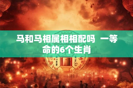 马和马相属相相配吗  一等命的6个生肖