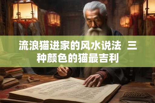 流浪猫进家的风水说法  三种颜色的猫最吉利