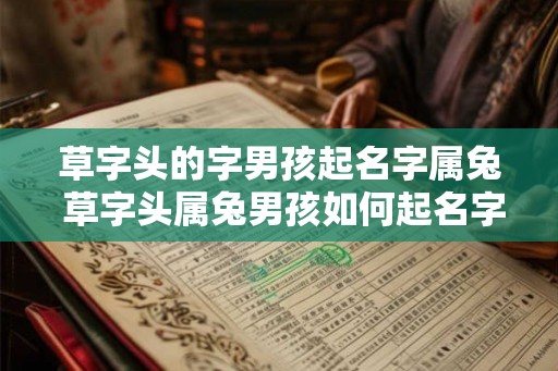 草字头的字男孩起名字属兔 草字头属兔男孩如何起名字