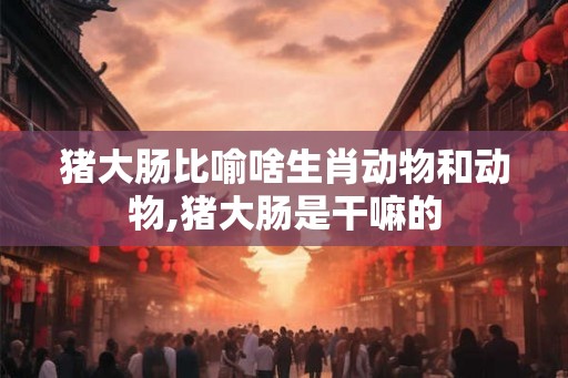 猪大肠比喻啥生肖动物和动物,猪大肠是干嘛的