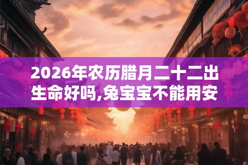 2026年农历腊月二十二出生命好吗,兔宝宝不能用安字吗