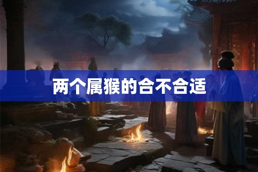 两个属猴的合不合适