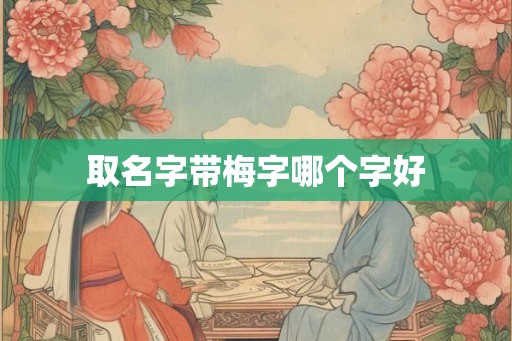 取名字带梅字哪个字好