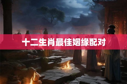 十二生肖最佳姻缘配对 十二生肖最佳姻缘配对