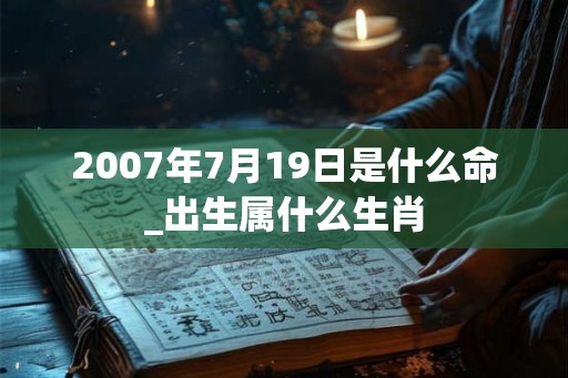 2007年7月19日是什么命_出生属什么生肖