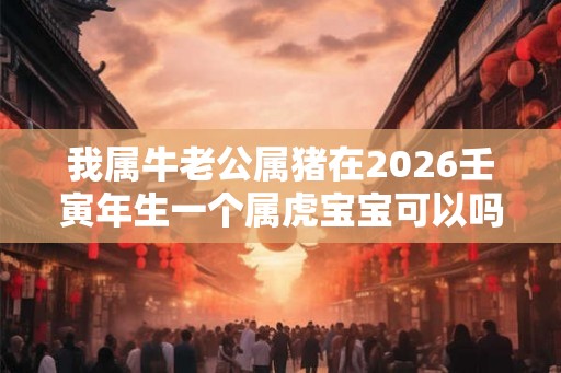 我属牛老公属猪在2026壬寅年生一个属虎宝宝可以吗？