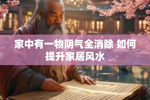 家中有一物阴气全消除 如何提升家居风水