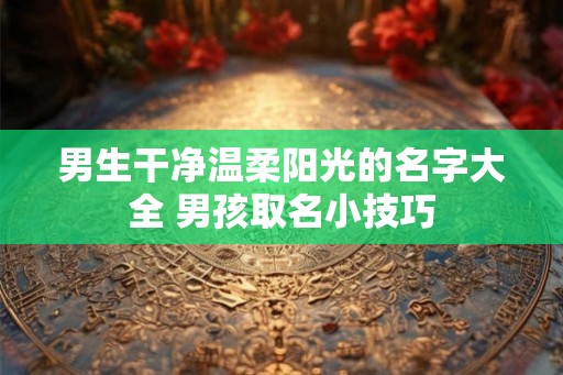 男生干净温柔阳光的名字大全 男孩取名小技巧