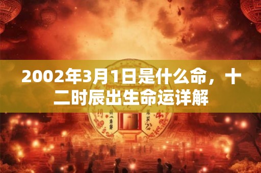 2002年3月1日是什么命,十二时辰出生命运详解 2002年3月1日是什么命,十二时辰出生命运详解