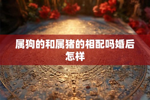 属狗的和属猪的相配吗婚后怎样