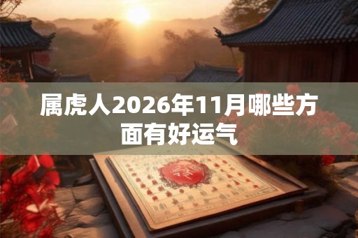 属虎人2026年11月哪些方面有好运气