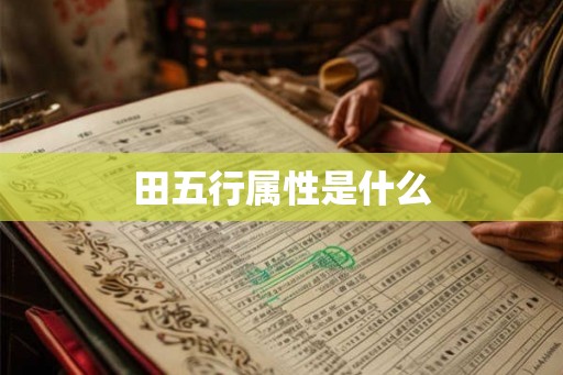 田五行属性是什么
