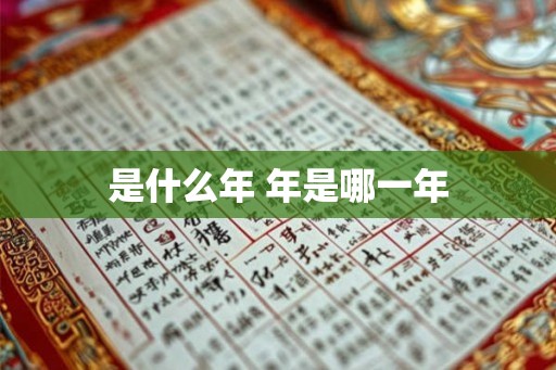 是什么年 年是哪一年