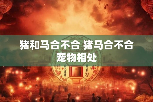 猪和马合不合 猪马合不合宠物相处 猪和马合不合 猪马合不合宠物相处