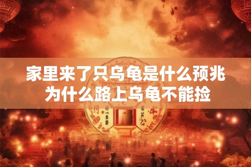 家里来了只乌龟是什么预兆 为什么路上乌龟不能捡