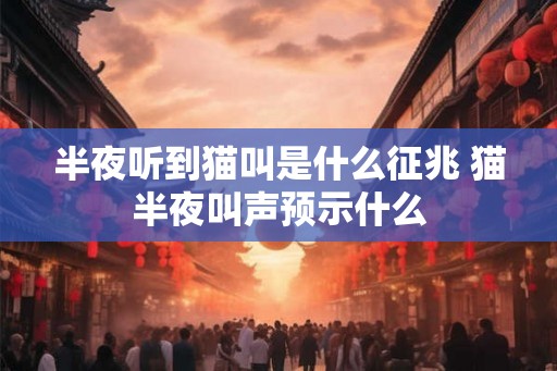 半夜听到猫叫是什么征兆 猫半夜叫声预示什么