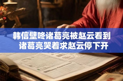 韩信壁咚诸葛亮被赵云看到  诸葛亮哭着求赵云停下开车