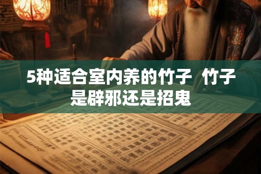 5种适合室内养的竹子  竹子是辟邪还是招鬼
