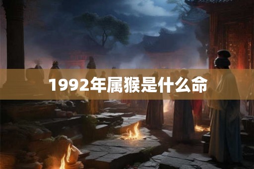 1992年属猴是什么命