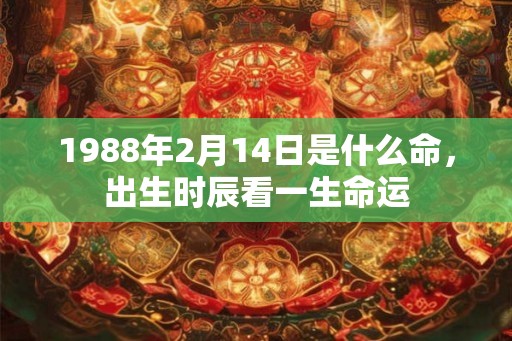 1988年2月14日是什么命，出生时辰看一生命运