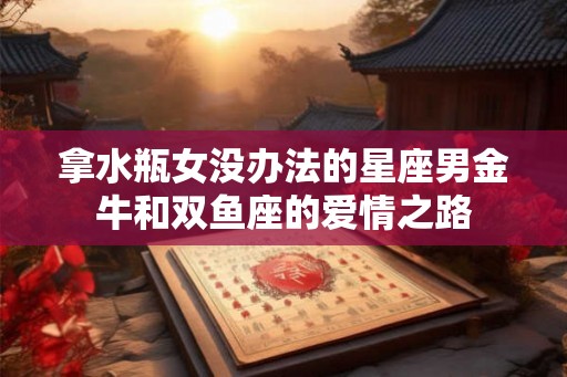 拿水瓶女没办法的星座男金牛和双鱼座的爱情之路