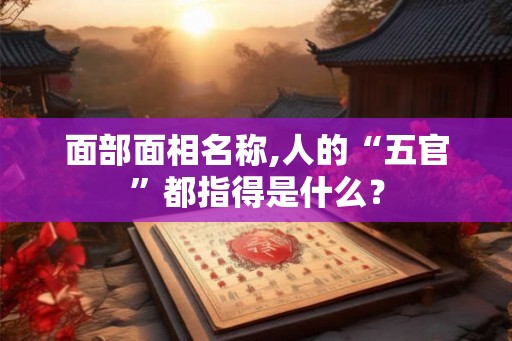面部面相名称,人的“五官”都指得是什么？