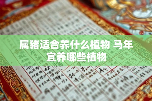 属猪适合养什么植物 马年宜养哪些植物 属猪适合养什么植物 马年宜养哪些植物