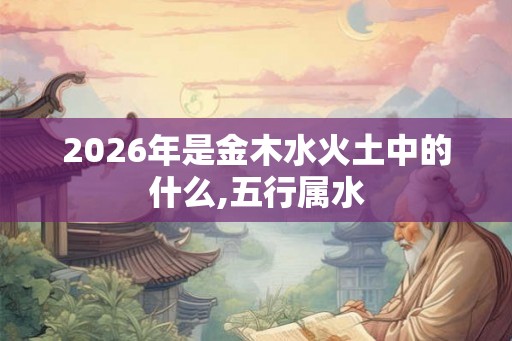 2026年是金木水火土中的什么,五行属水