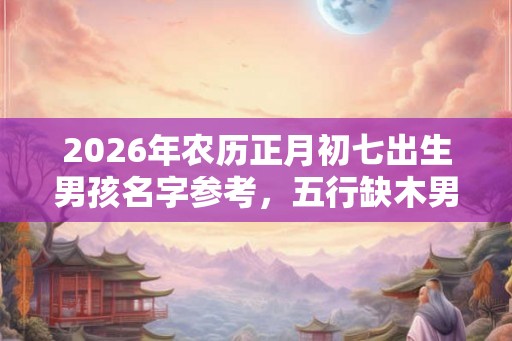 2026年农历正月初七出生男孩名字参考,五行缺木男宝宝起名 2026年农历正月初七出生男孩名字参考,五行缺木男宝宝起名