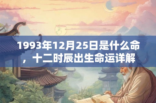 1993年12月25日是什么命，十二时辰出生命运详解