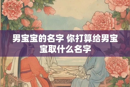 男宝宝的名字 你打算给男宝宝取什么名字 男宝宝的名字 你打算给男宝宝取什么名字