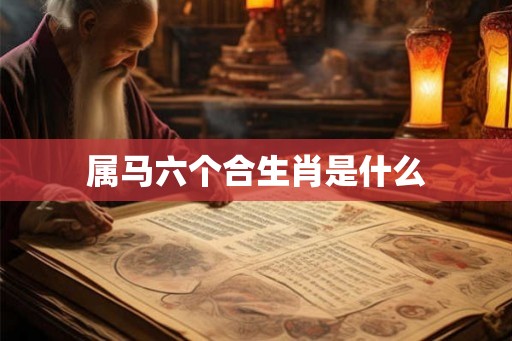 属马六个合生肖是什么