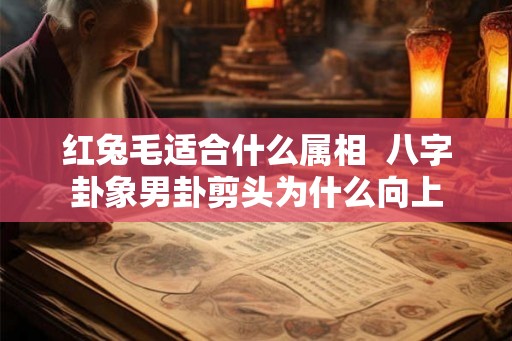 红兔毛适合什么属相  八字卦象男卦剪头为什么向上
