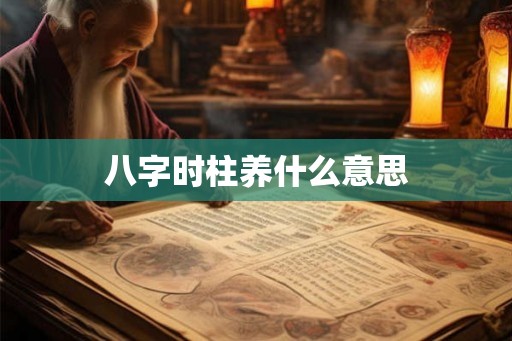 八字时柱养什么意思