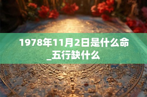 1978年11月2日是什么命_五行缺什么