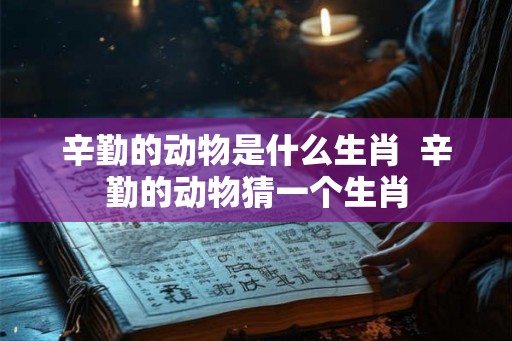 辛勤的动物是什么生肖  辛勤的动物猜一个生肖