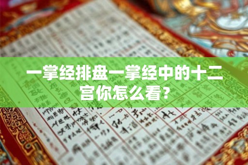 一掌经排盘一掌经中的十二宫你怎么看？