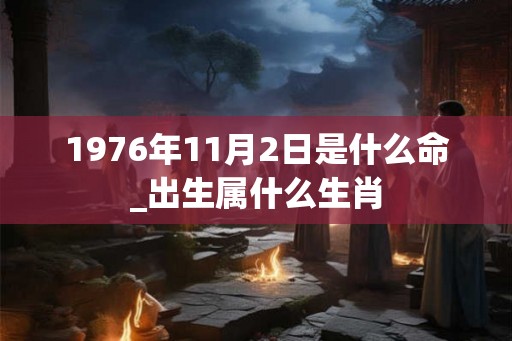 1976年11月2日是什么命_出生属什么生肖
