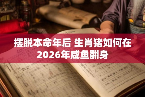 摆脱本命年后 生肖猪如何在2026年咸鱼翻身