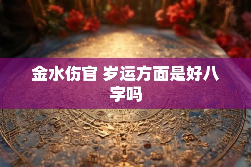 金水伤官 岁运方面是好八字吗