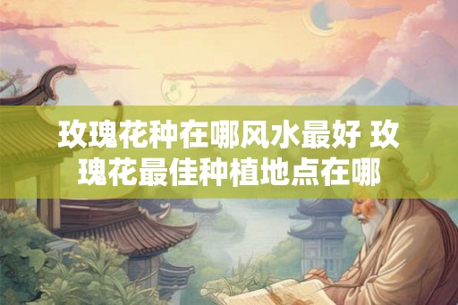 玫瑰花种在哪风水最好 玫瑰花最佳种植地点在哪