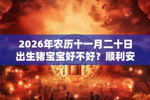 2026年农历十一月二十日出生猪宝宝好不好？顺利安康吗？