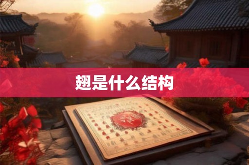 翅是什么结构
