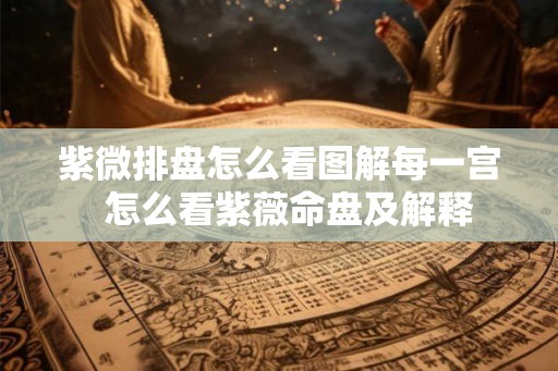 紫微排盘怎么看图解每一宫 怎么看紫薇命盘及解释 紫微排盘怎么看图解每一宫 怎么看紫薇命盘及解释