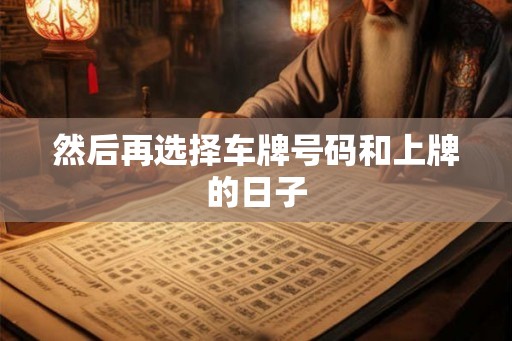 然后再选择车牌号码和上牌的日子