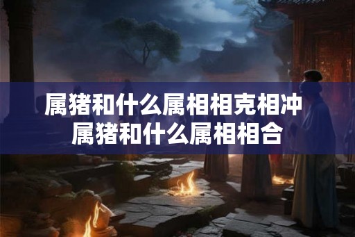 属猪和什么属相相克相冲 属猪和什么属相相合 属猪和什么属相相克相冲 属猪和什么属相相合
